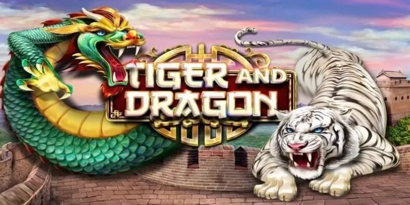 Giới thiệu sơ lược về rồng hổ HB88