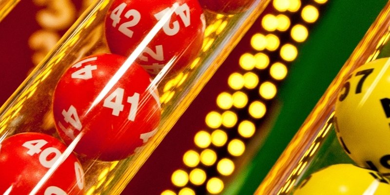 Hiểu rõ về nuôi lô khung 5 ngày