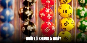 Nuôi lô khung 5 ngày