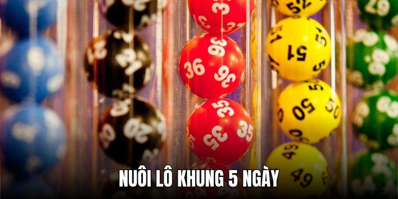 Nuôi lô khung 5 ngày