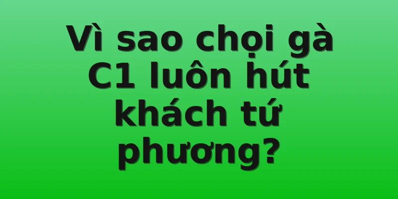 Vì sao chọi gà C1 luôn hút khách tứ phương?