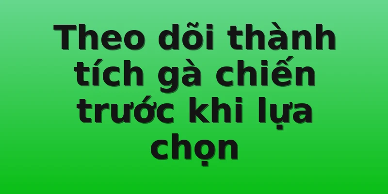 Theo dõi thành tích gà chiến trước khi lựa chọn